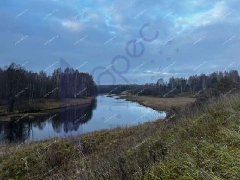 земельный участок 2 000 соток деревня Фефелиха